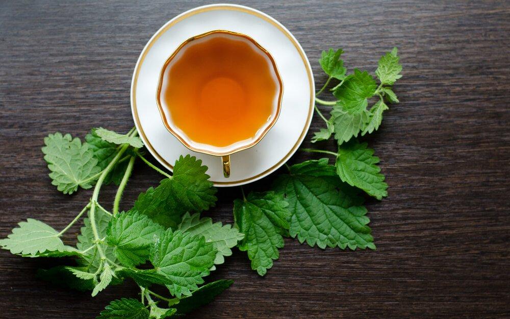 How to Make Nettle Tea and Its Amazing Health Benefits