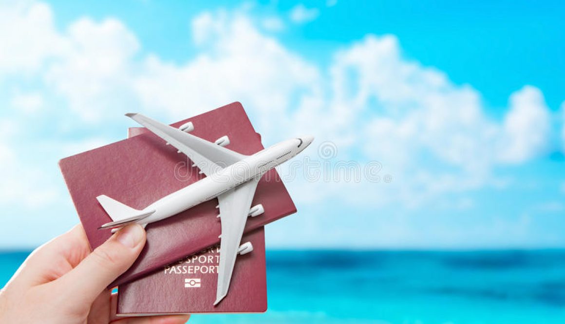 passport-flight-fly-travelling-travel-citizenship-concept-airplane-traveller-air-stock-image-86057681