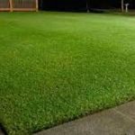 How To Get A Good PGR Lawn And Maintain It?