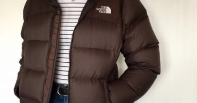 The Brown North Face Puffer Jacket